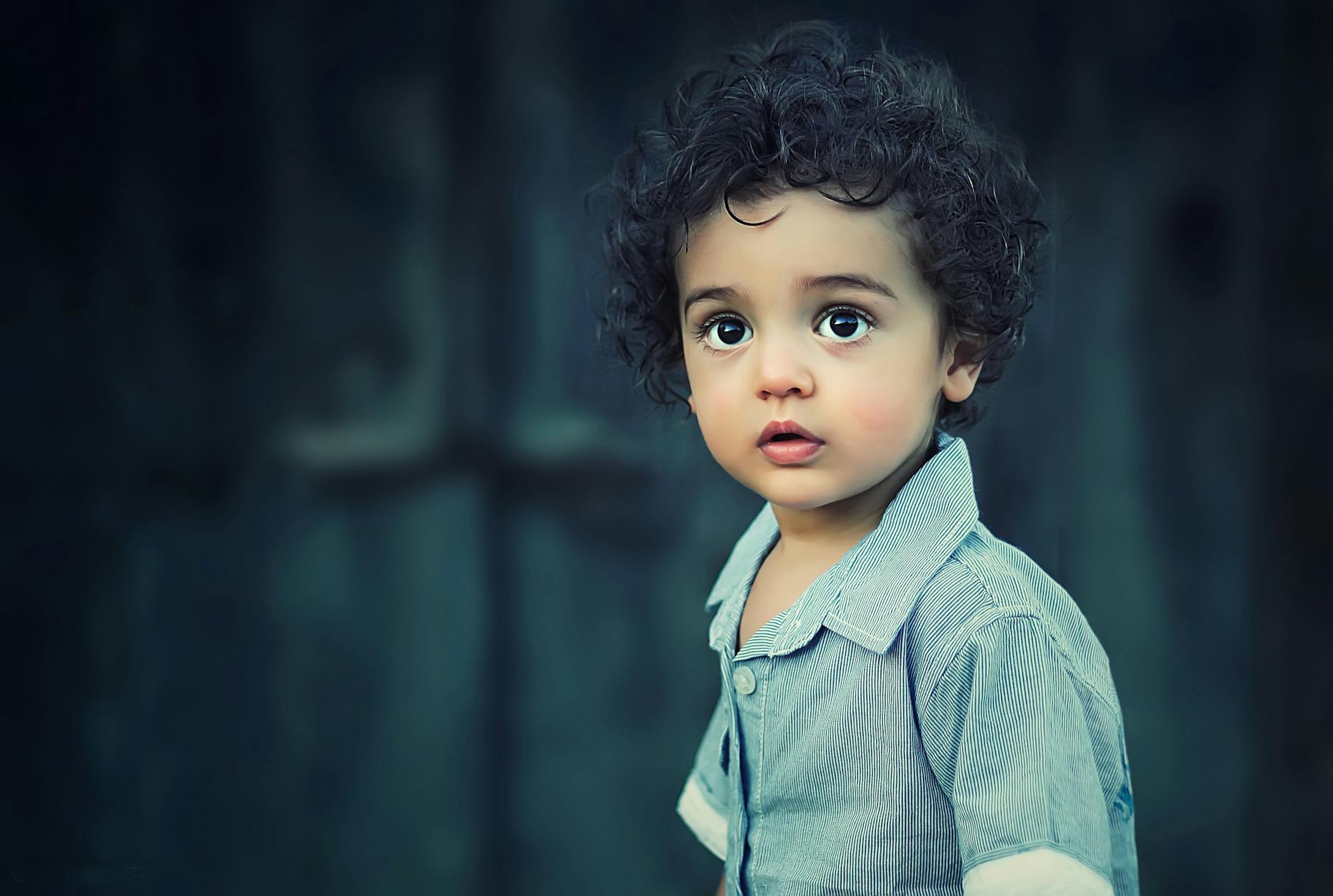 toddle wearing gray button collared shirt with curly hair